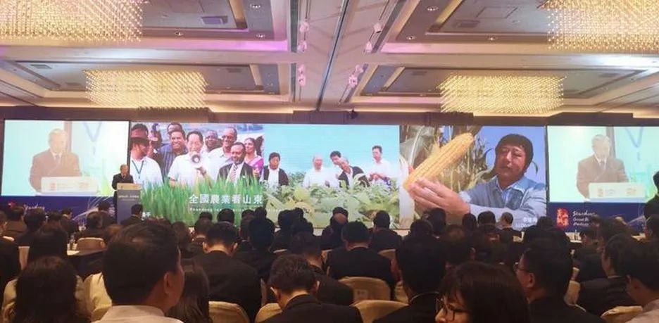 好紧张好想表白,好紧张马上要和喜欢的人表白了