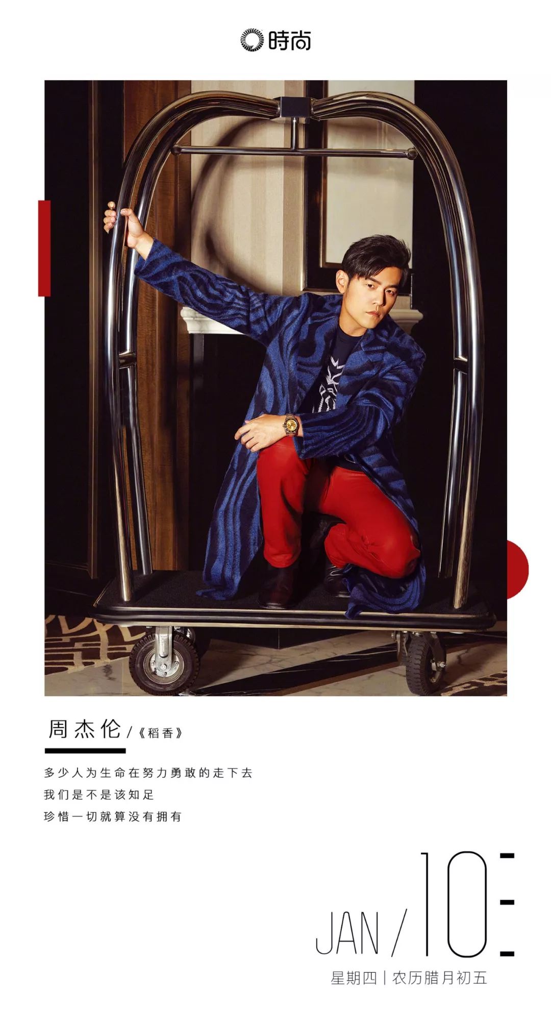 让你心甘情愿掏腰包的罪魁祸手,居然都是动物!