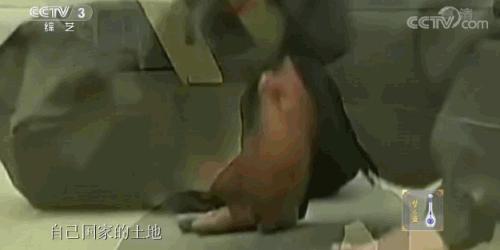 这是14亿人的46秒！这是云南人民献给祖国的赞歌