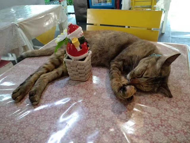 曼谷芭提雅吉隆坡9晚11日游,曼谷芭提雅六日跟团游攻略