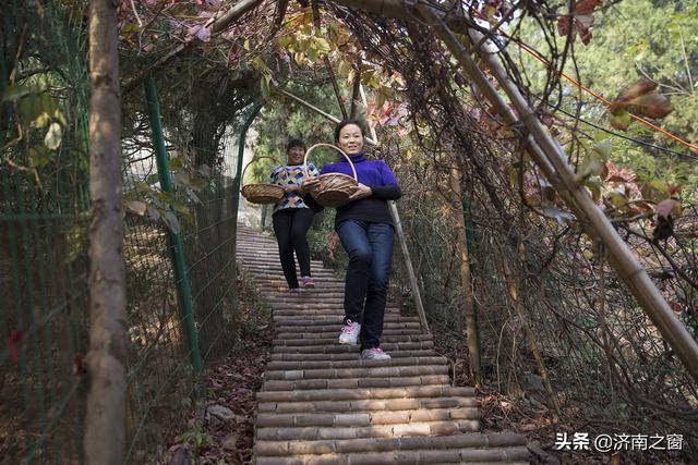 济南养猪第一人,济南电商前十名