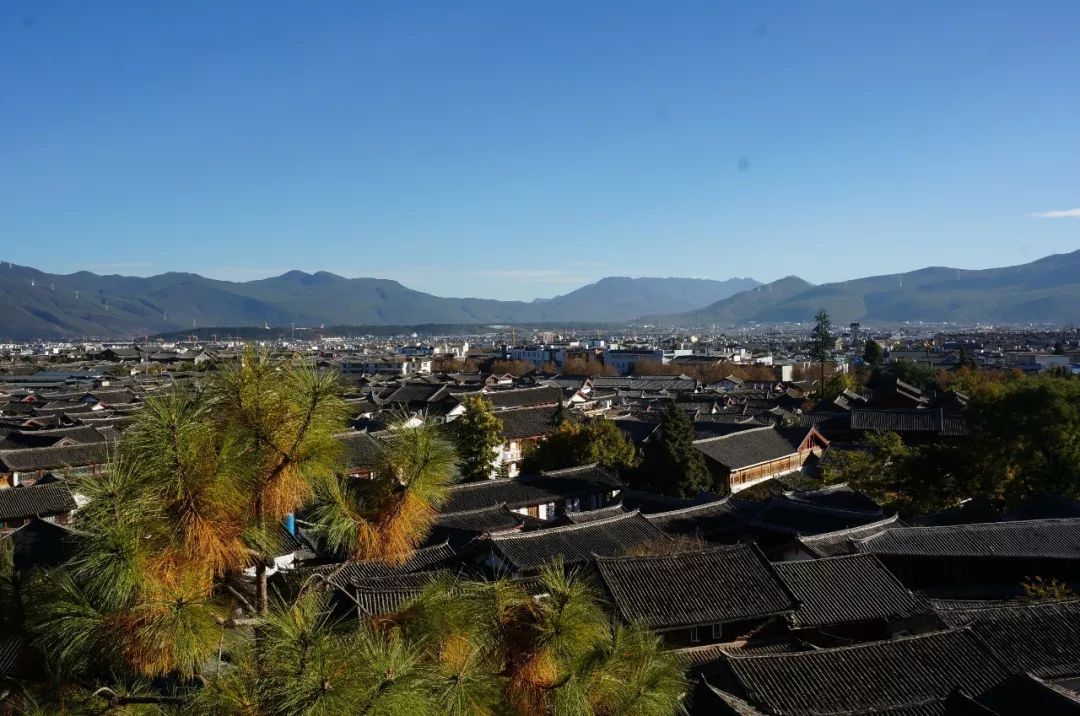 丽江开客栈靠什么吸引客源,在丽江开客栈都有哪些人