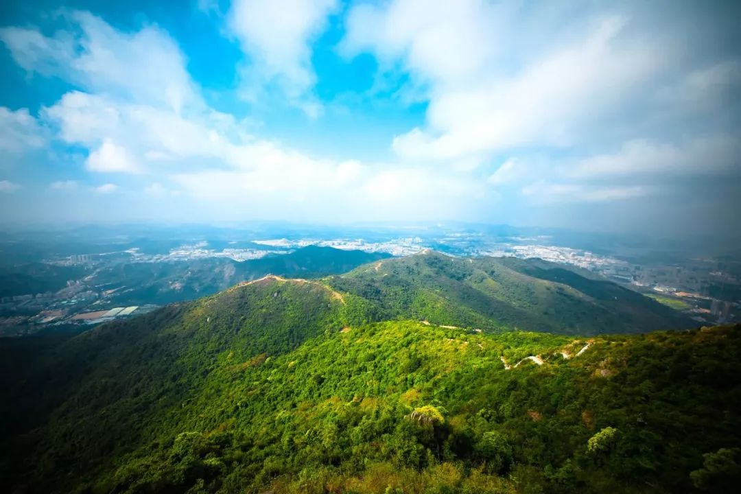 石岩离这里有多远,如今的石岩