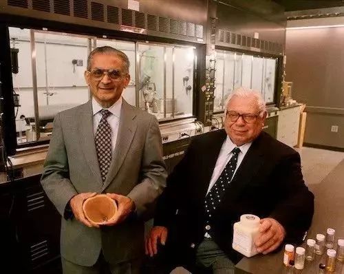 紫杉醇发现历程,解密紫杉醇