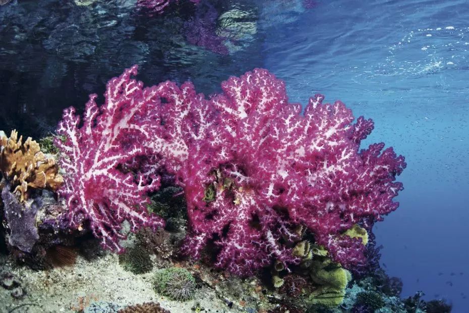 这些熟悉的酒店logo,背后的故事你知道吗?