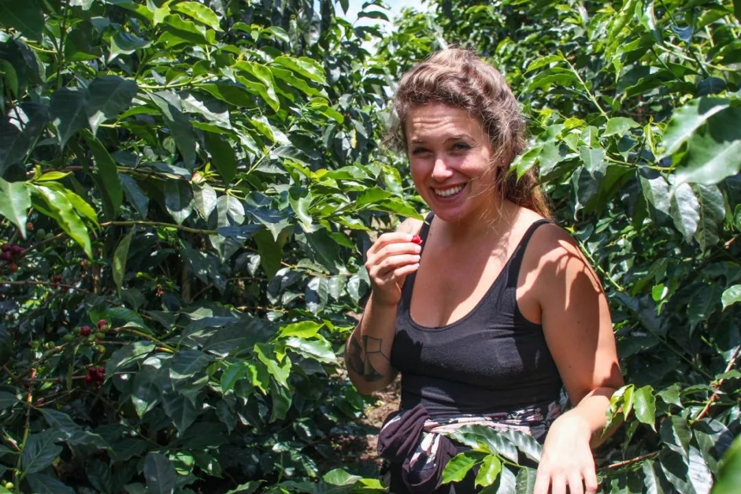 中国最大的咖啡种植产区,亚洲的咖啡产区特点