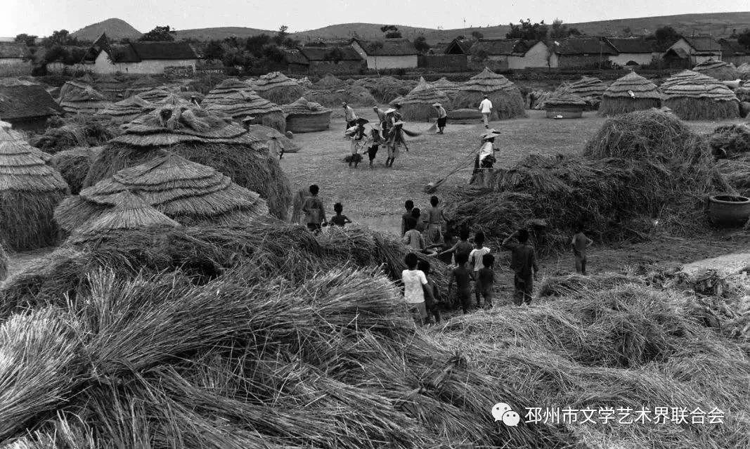 乡村旧事,乡村旧事小说