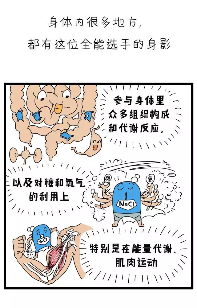 不吃盐不长劲有什么科学依据,不吃盐为什么会没有力气