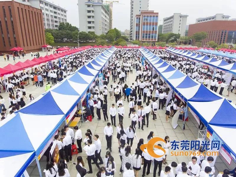 东莞高薪高职招聘,东莞各公办学校最新招聘信息