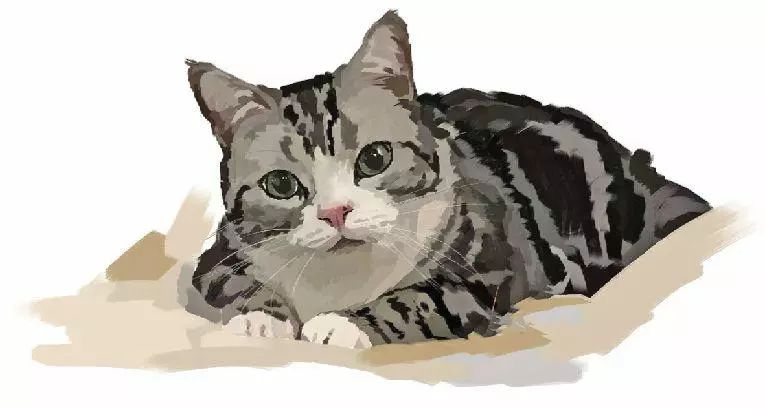 文化艺术报副刊：猫三宝出走记