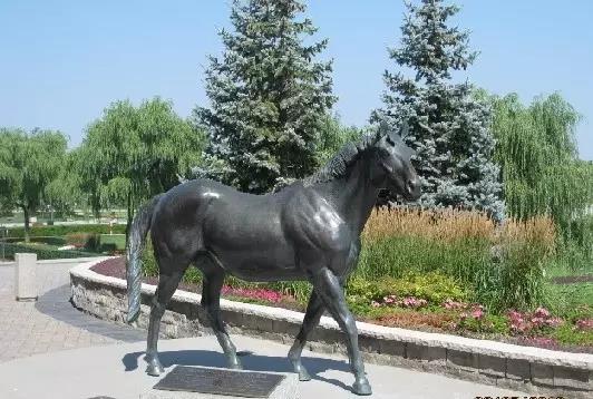 北方舞蹈家参赛视频,北方舞蹈家和伽利略