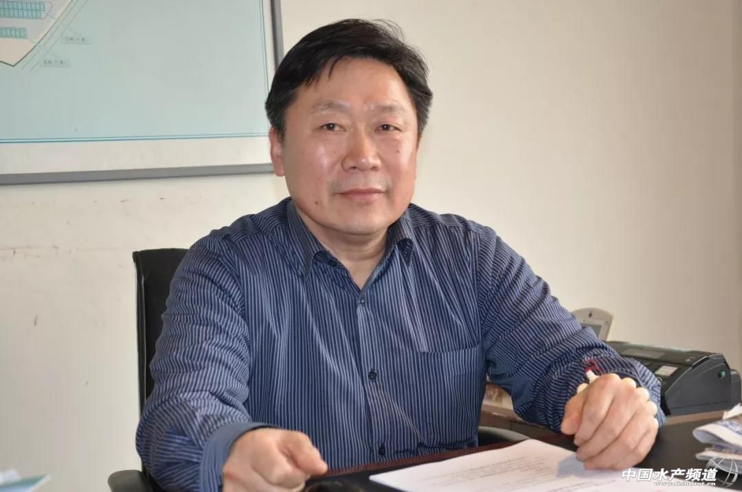 2019年海产行业,海产行业的感悟心得分享