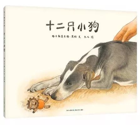 优质童书推荐榜单,童书推荐书单