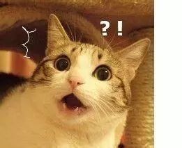 日本网红眼药水国外被禁售，网友集体颤抖：可怕！正在用呢