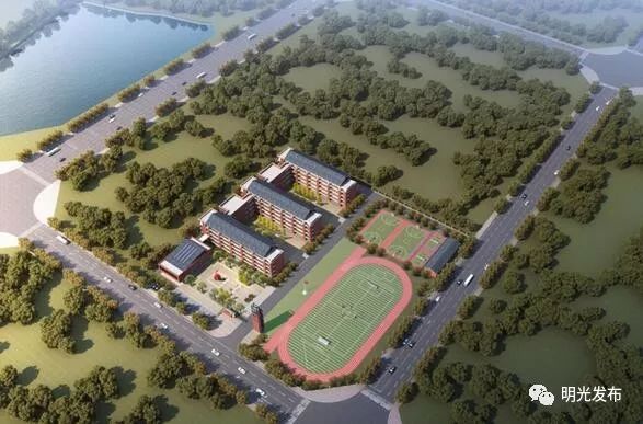 十件民生实事解析,为民实事清单