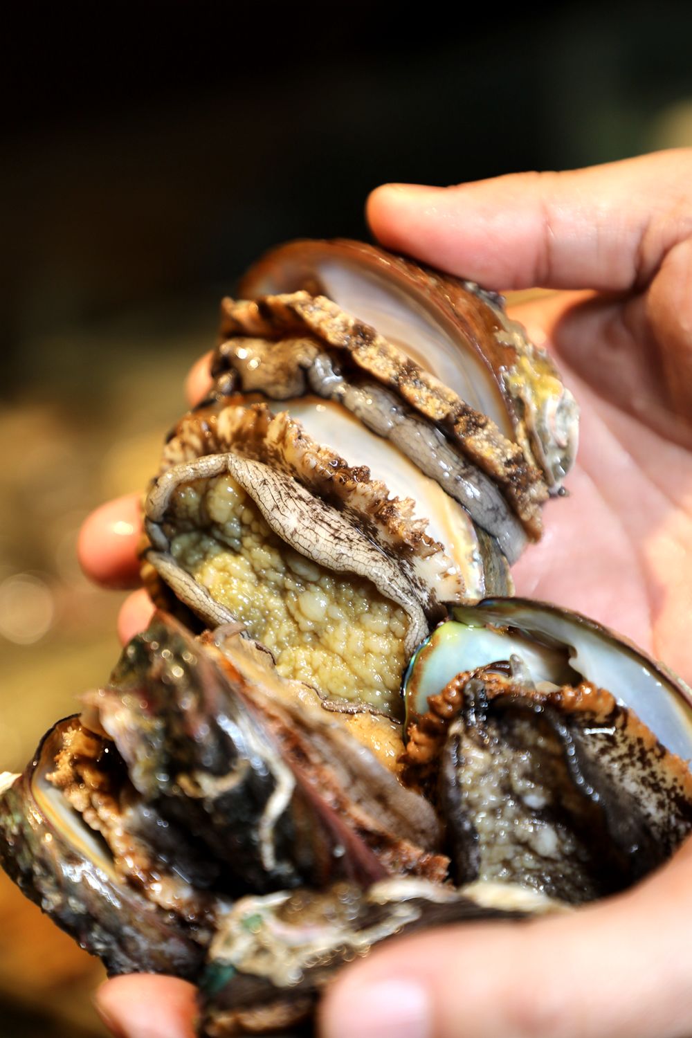 香港海鲜花胶鸡,香港花胶鸡推荐