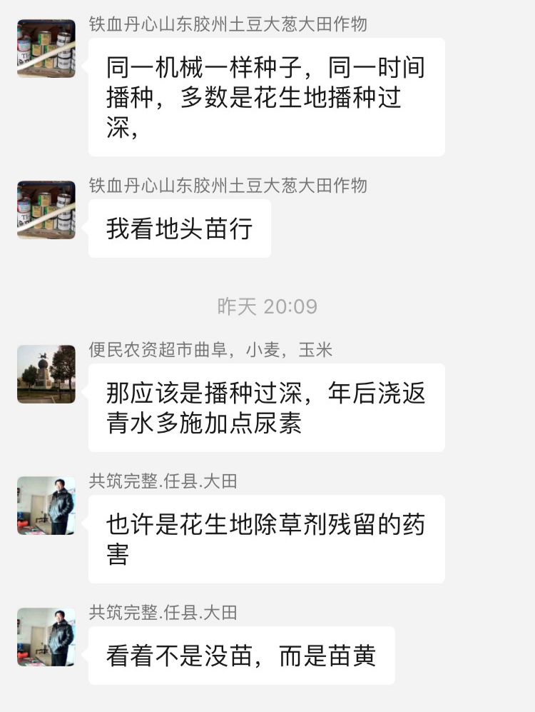 多地小麦出现发黄枯死现象,近期小麦发黄的原因怎么补救