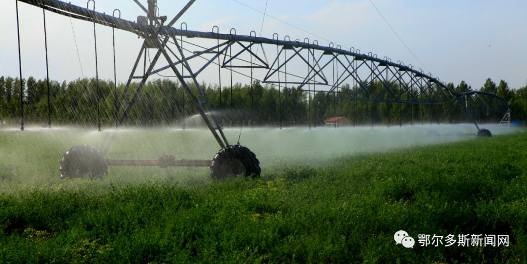 达拉特旗农村的最新规划,达拉特旗农业