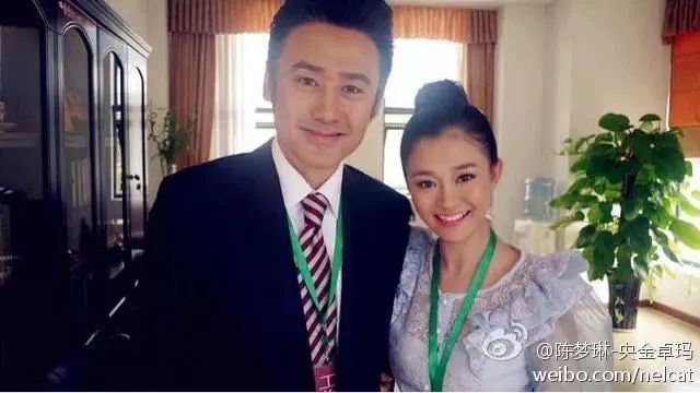 吴秀波女朋友判几年,吴秀波立案侦查合集