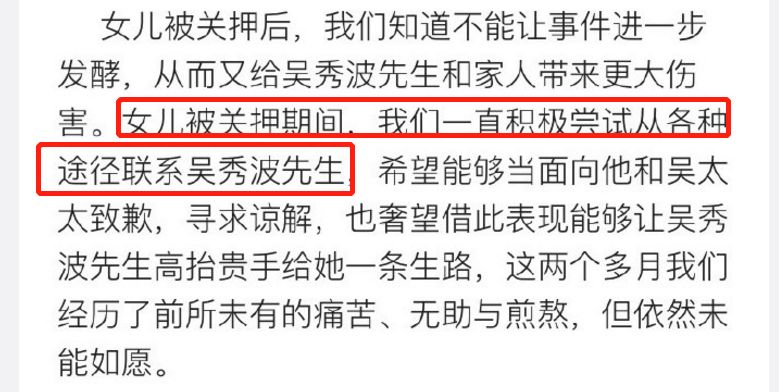 吴秀波小三被抓,吴秀波的女友被判几年