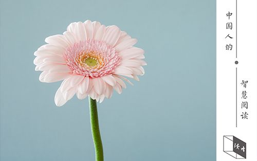 空杯心态经典小故事,20个空瓶子的故事感悟