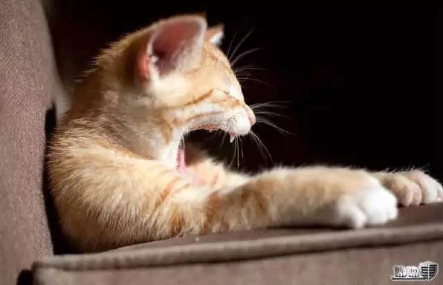 春运自驾上高速这些易违章藏得深 (2019春运公路客运)