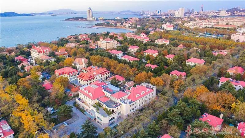 青岛八大关枫叶,青岛听劝版攻略