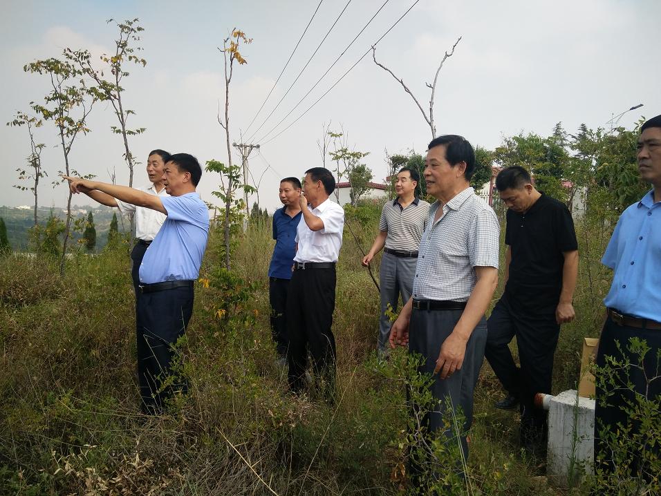 城中村店铺如何发展,为什么城中村很难开发