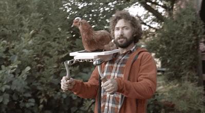 在鸡头装摄像头当稳定器,给鸡头安摄像头