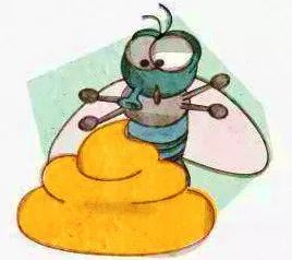 爱卫会除四害技术指导,官方支招教你如何除四害