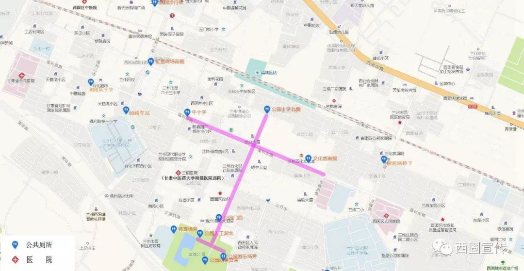 西固灯会攻略大全,西固灯会2021在线观看