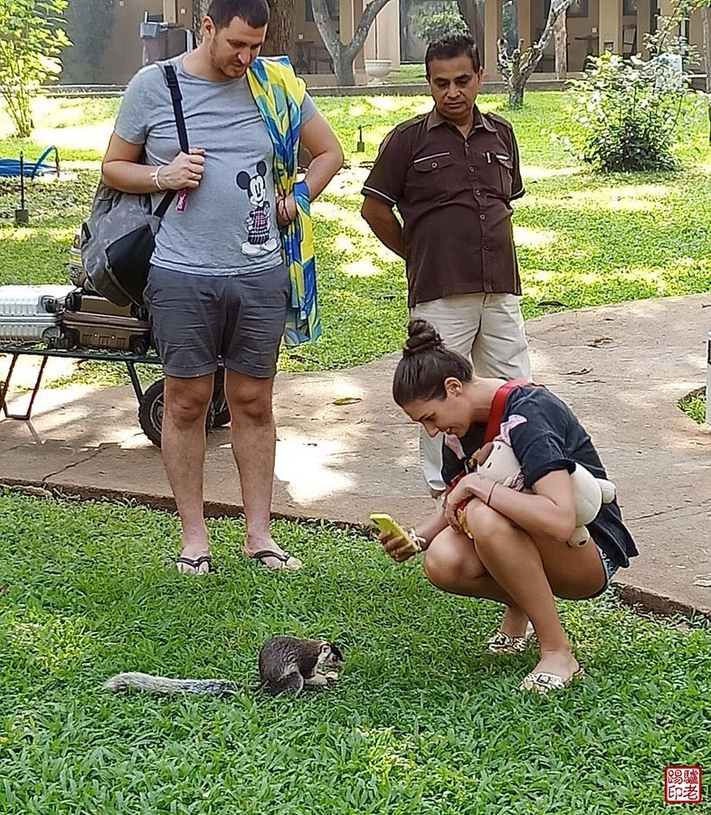 斯里兰卡农村真实生活视频,斯里兰卡华人真实生活视频