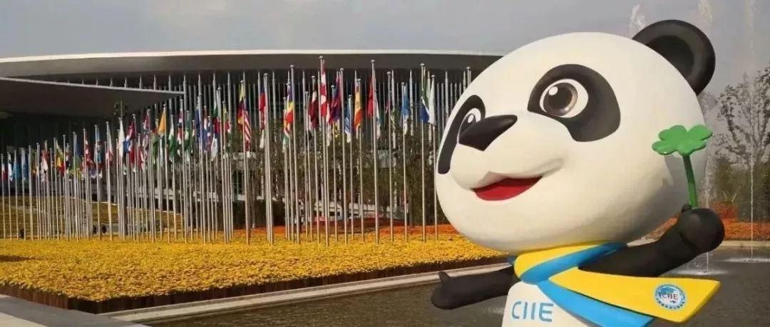 县政府工作报告解读,权威发布政府工作报告一图速览