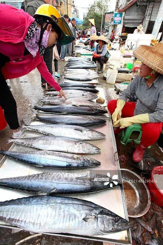 三亚旅居养老式旅游攻略,海南三亚游玩旅居康养