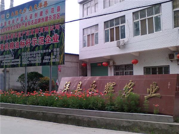 娲嬪幙鎵惰传,娲嬪幙浼佷笟