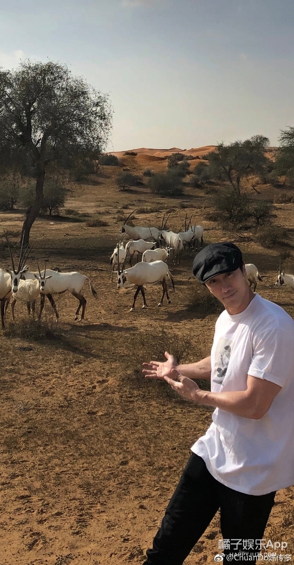 何炅童颜不老图片,44岁的何炅还是童颜脸