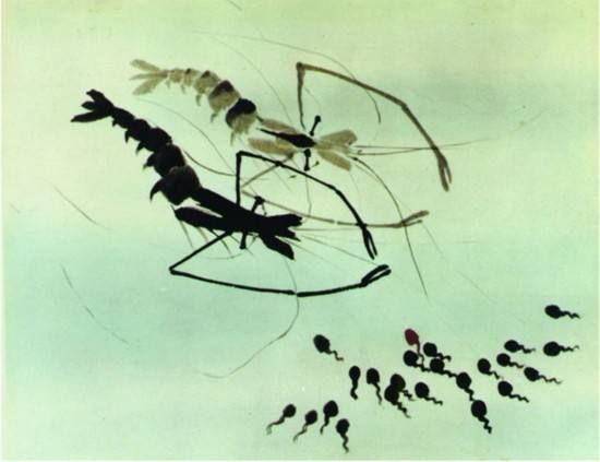 盘点你以前看过的动画,那些年追过的剧你还记得吗