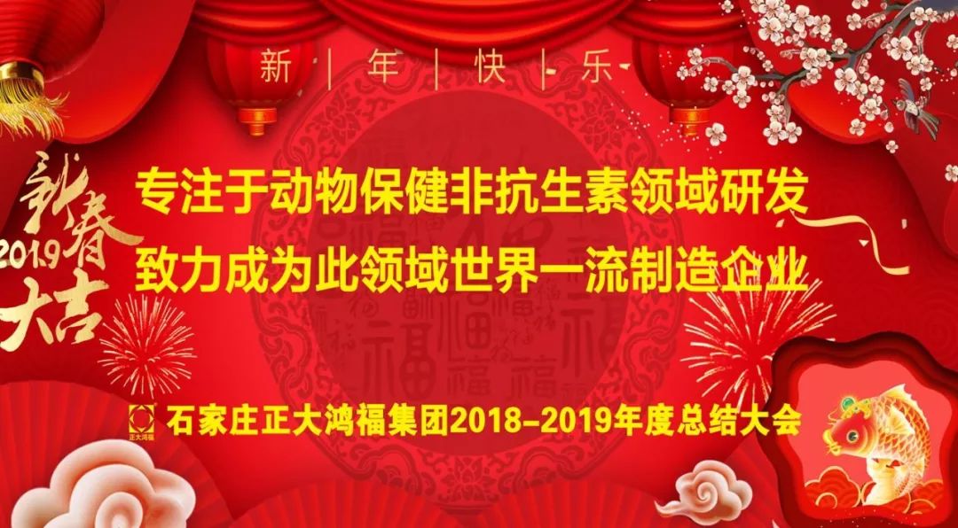 专注于动物保健非抗生素领域研发，致力成为此领域世界一流制造企业——石家庄正大鸿福集团2018-2019年度总结大会记