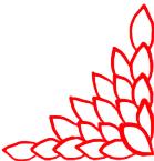 武清区运动会城关,武清区运动会开放时间