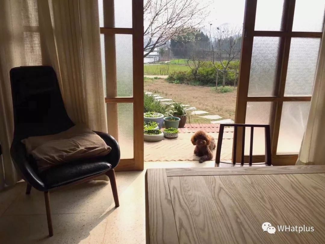 武汉东湖小白民宿,武汉森林玻璃房民宿