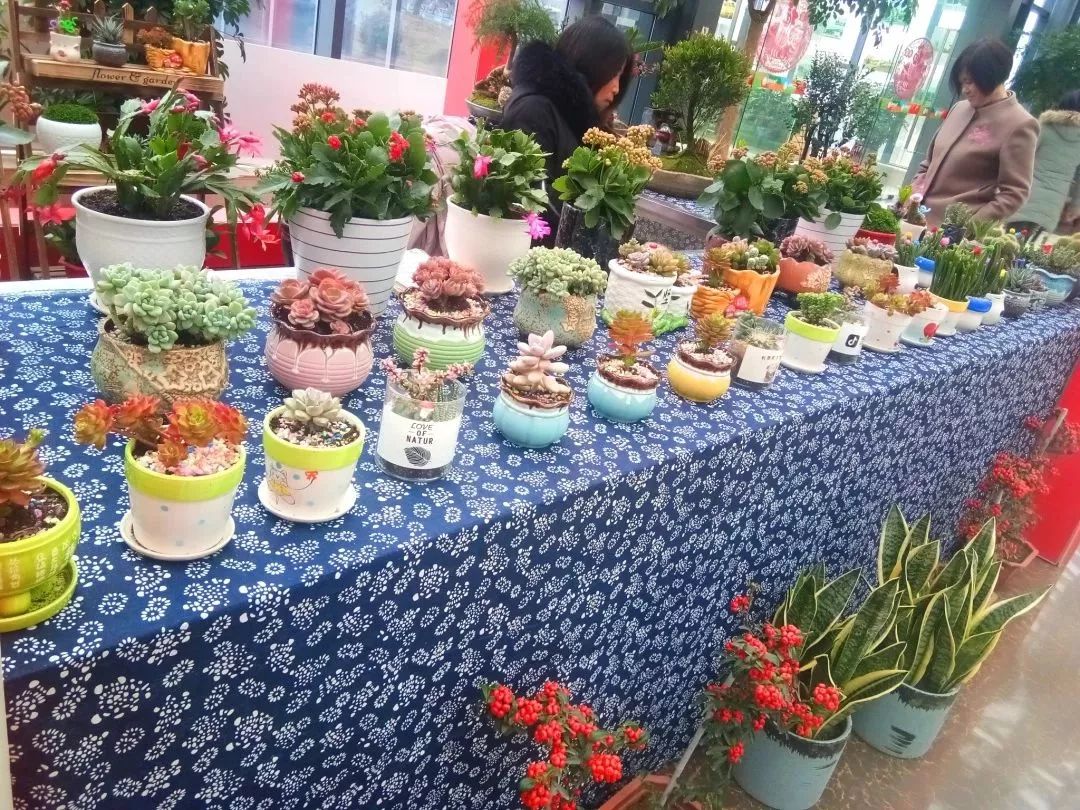 福乐枣庄贺年会｜古城祥和庄园“年味”十足！