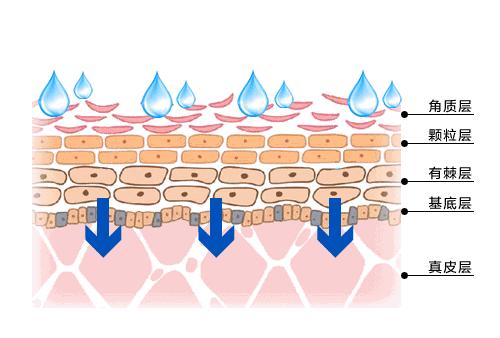 资生堂适合40岁以上的抗皱系列,资生堂抗衰老抗皱纹