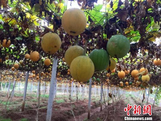 精准扶贫永州市政策解读,永州脱贫攻坚新闻发布会