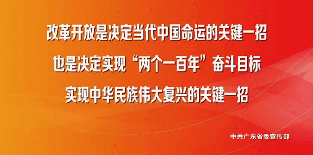 夏至到来大明湖荷花,夏至来了荷花又开放啦