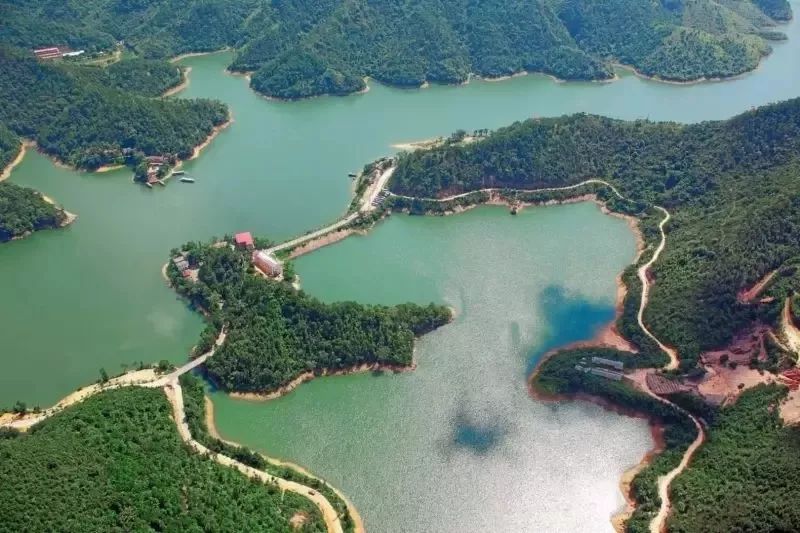 来吧！侧田、黄凯芹邀你到鼎湖一起过大年！