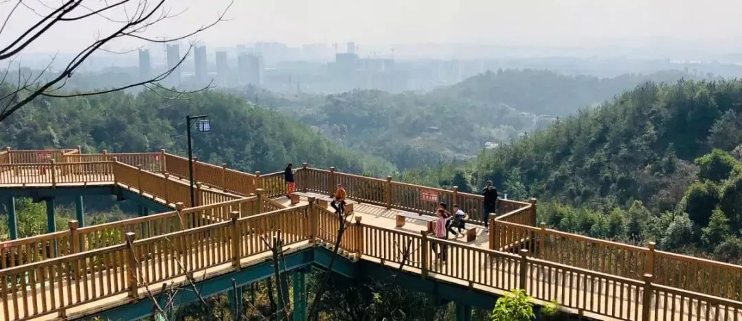 赣州开放公园景区,赣州景区关于开放的通知