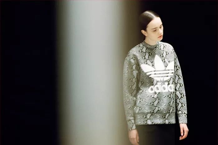 thenorthface拆解,thenorthface最高端系列