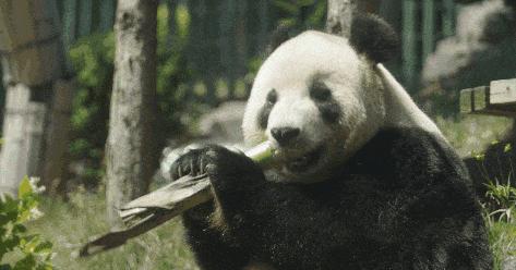 大连春节旅游攻略最值得去的地方,玩遍大连