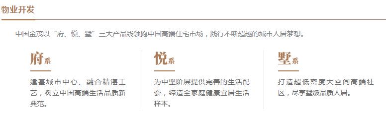 top30的地产开发商,top30地产公司