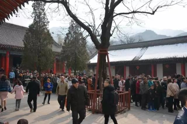 「慢城·关注」玉来玉好醉美蓝田年丨春节前三天，各景区人气火爆